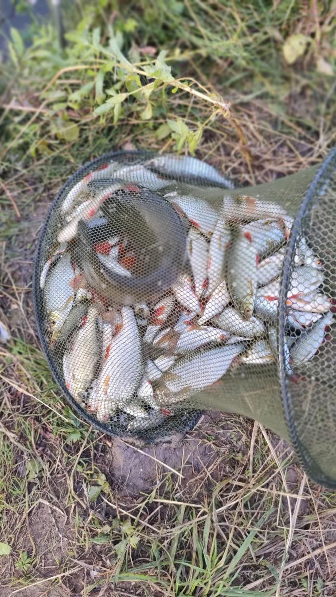 Ferienhaus Chatka Stegienka